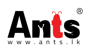 Ants Creation